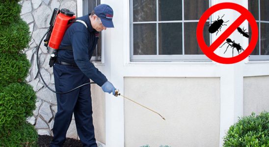 Akyazı Uçan Haşere İlaçlama böcek ilaçlama ve haşere kontrolü — ilaclama-tr.com